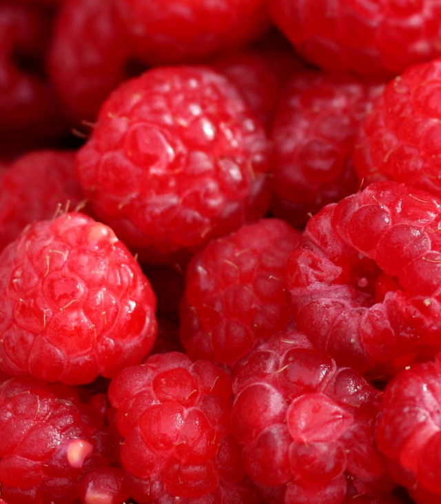 Les fruitées