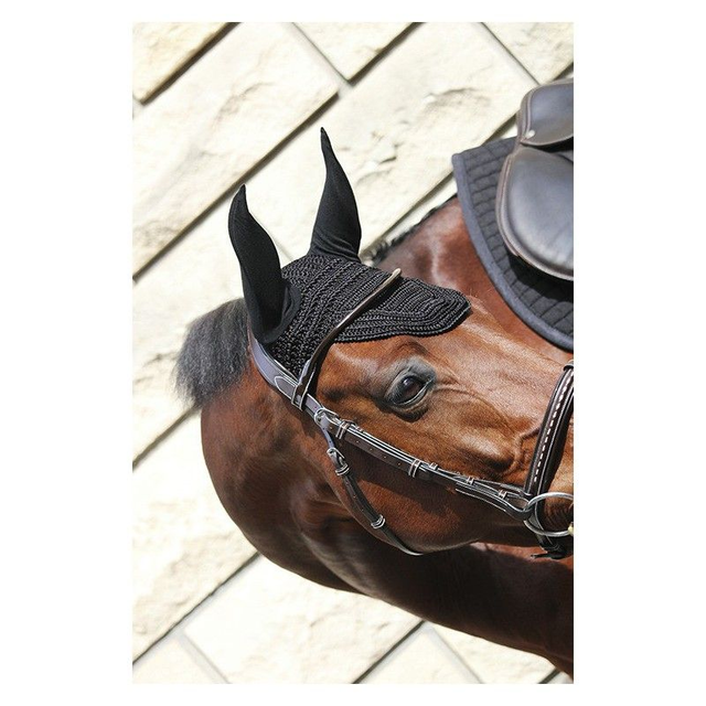 BONNET PREMS PADDOCK