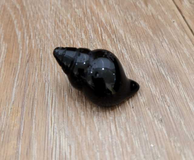 Black Obsidian Shell