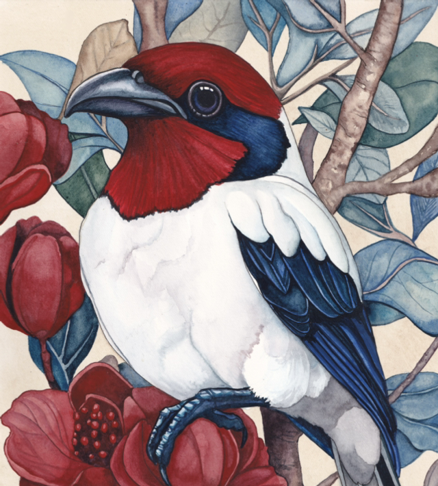 Crimson and Blue Headed Bird - Lisa Lennon