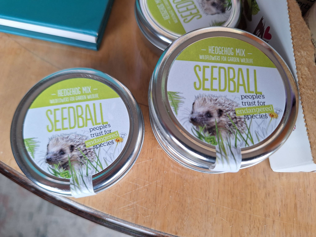 Seedball - hedgehog mix