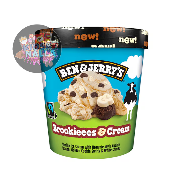 Ben & Jerry's Eis Brookieees & Cream 465ml