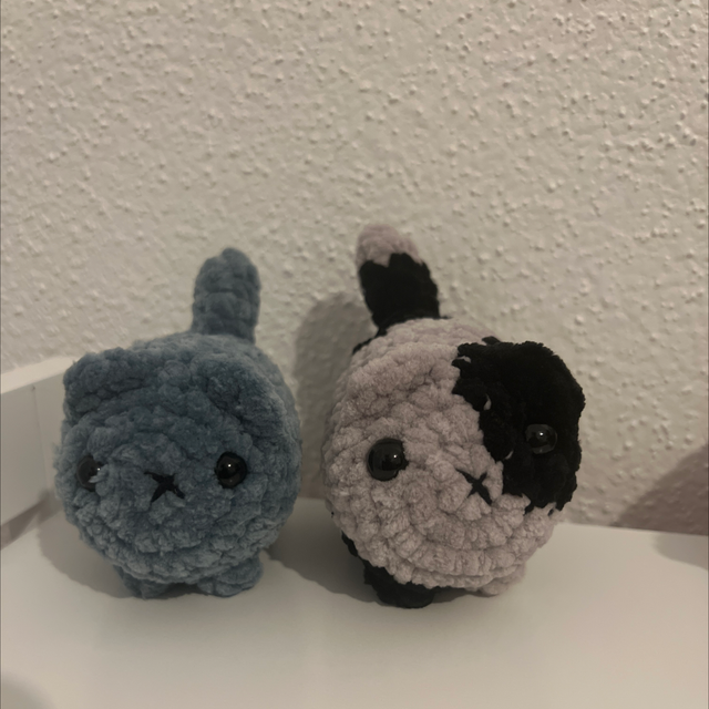 Chat - Mini 🐈‍⬛ 