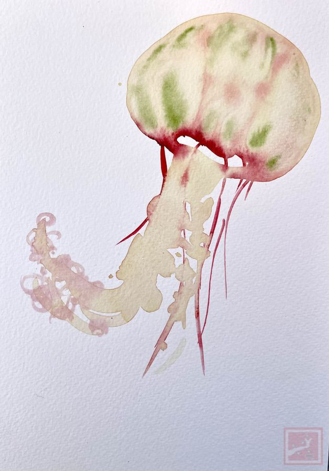 jelly fish #2