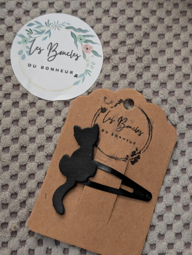 Barrette b024