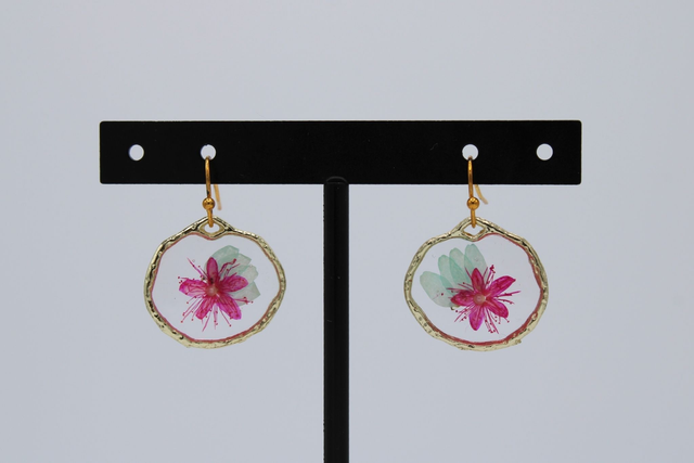 BO miniatures botaniques