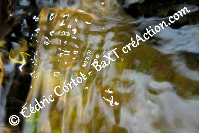 Impression sur alu dibond - Reflets et cours d'Eau (ref 4300)