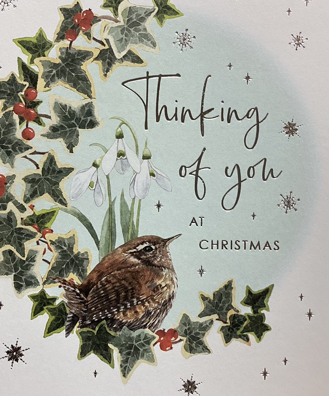 Christmas Thinking of You (Bird on Wreath) NQ