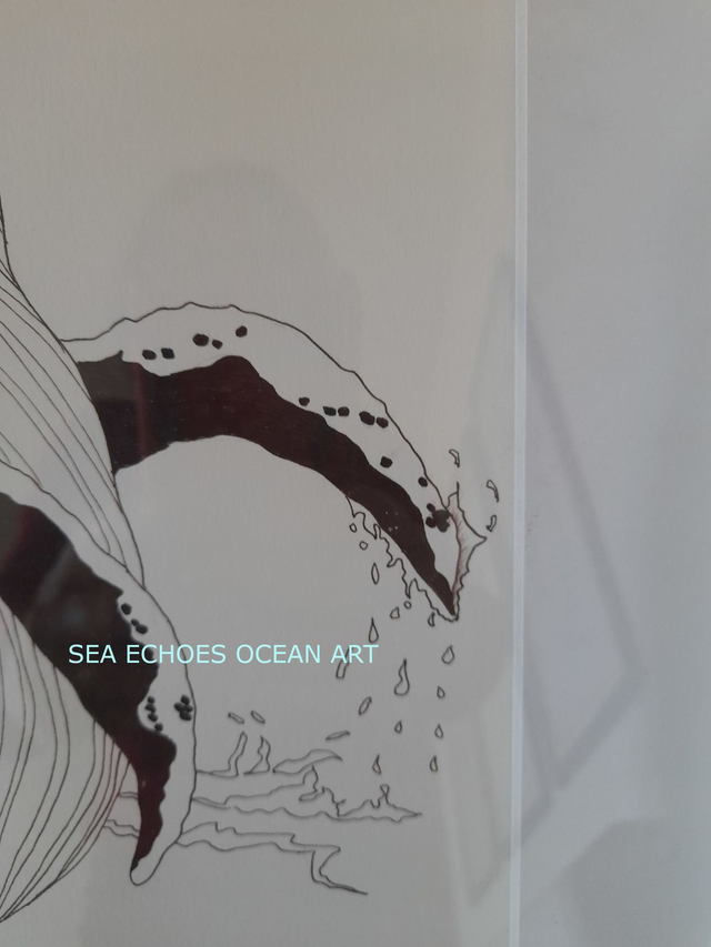 Breaching = Joy! (Original)