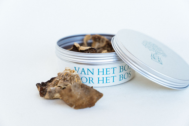 PRE ORDER Russula Cellulata, wilde eetbare paddenstoel uit miombobos, gedroogd