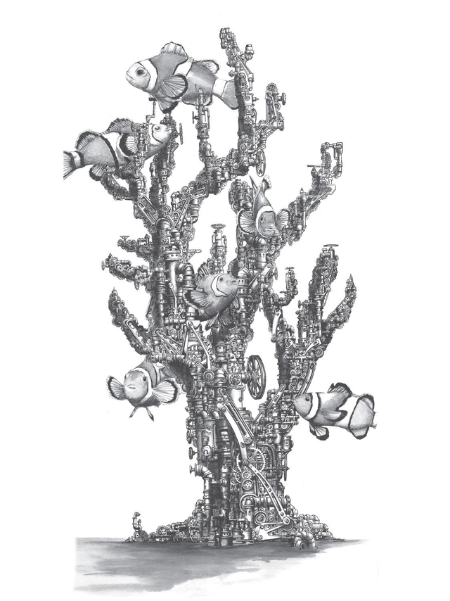 Corail - Edition Art 