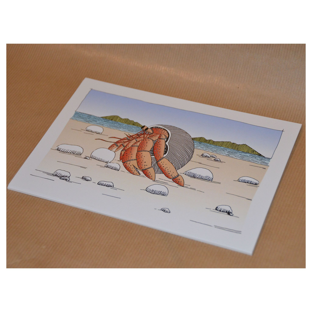 carte bernard l'hermite