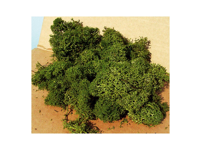 mousse islande vert moyen Héki 3222