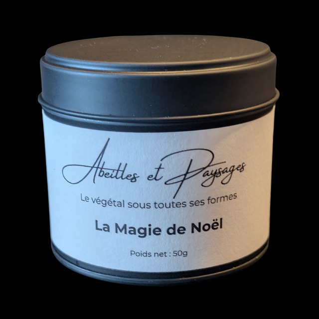 Thé noir : Magie de Noël 