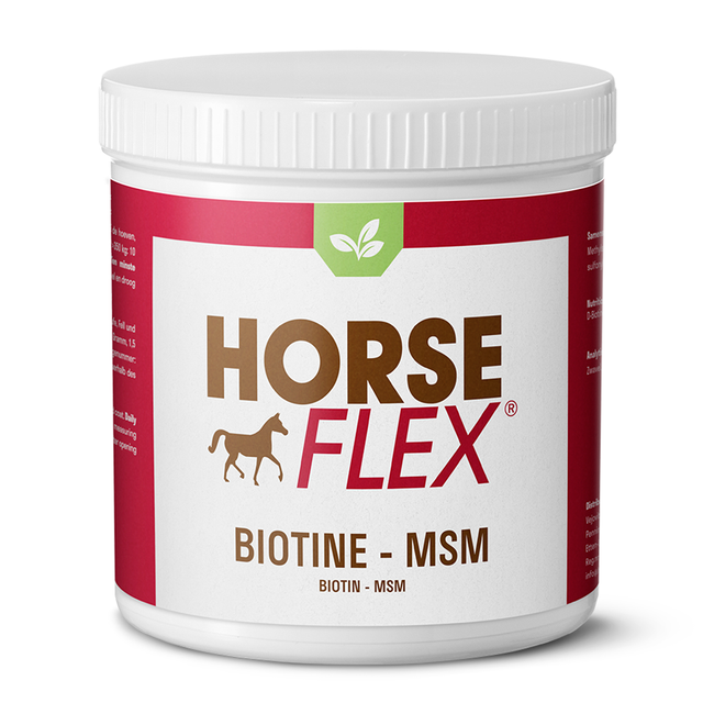 HorseFlex - Biotine-MSM 300g