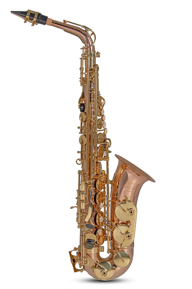 Roy Benson Saxophone Alto Mib AS202G  RUPTURE DE STOCK