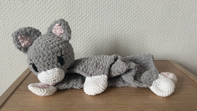 🐱 Doudou Chat 🐱