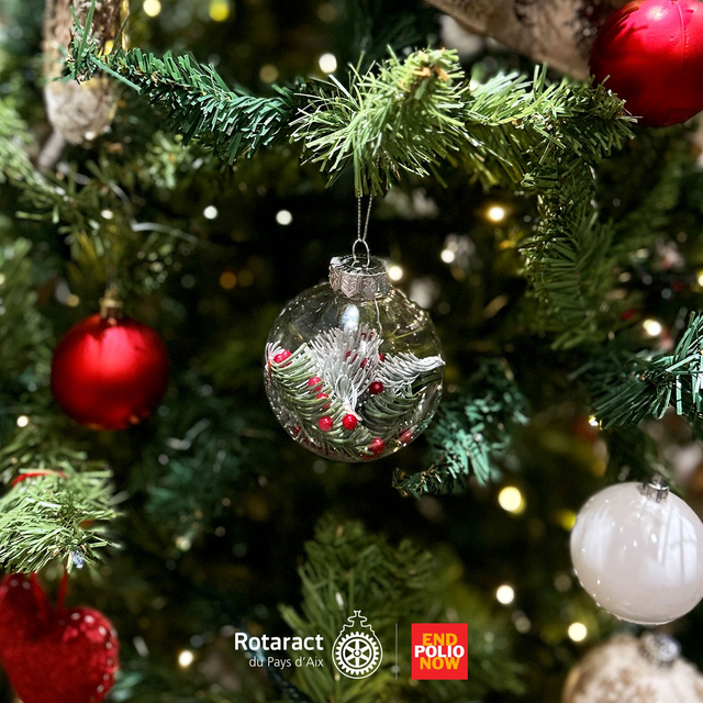 Boule de Noël 2025 pour Polio