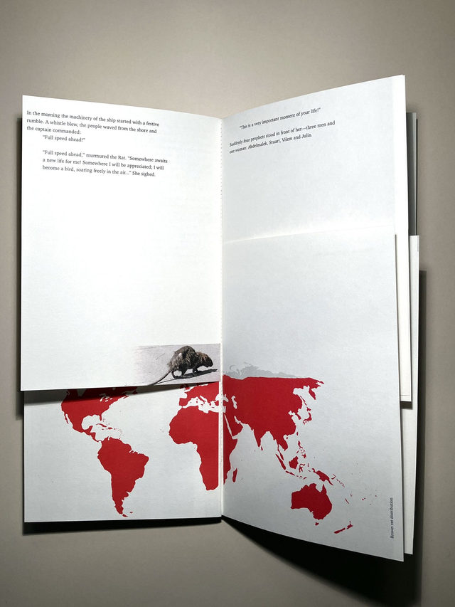 The Woman with the Brown Hair (WBH), or me and my informant