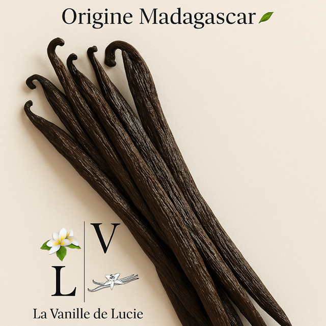 10 gousses de Vanille Tsy Taitry Hybride Madagascar