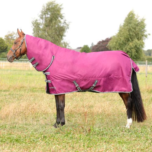 StormX Empra 200g Combi Turnout Rug - PURPLE 