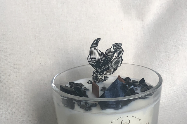 LA LLAMA DEL EQUILIBRIO