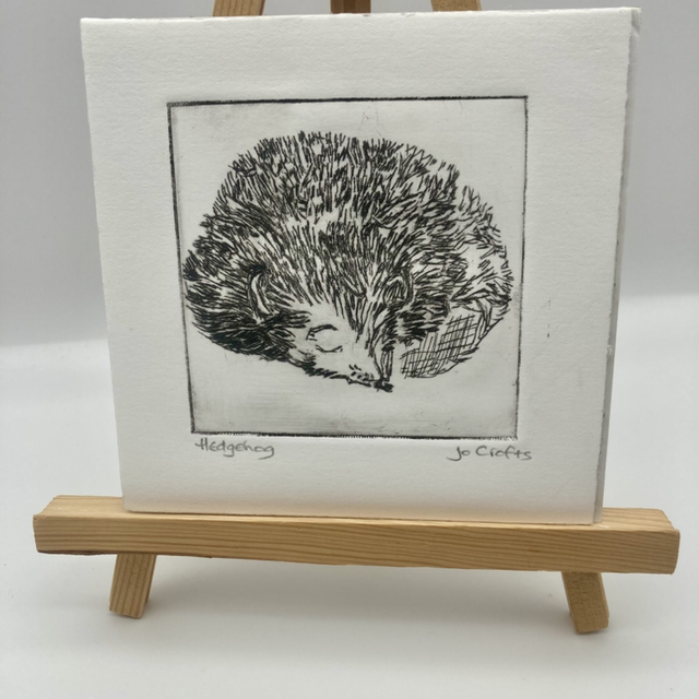 Drypoint- Hedgehog 