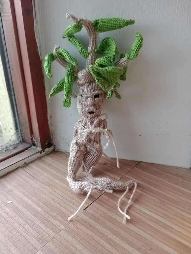 Mandrake Plant 