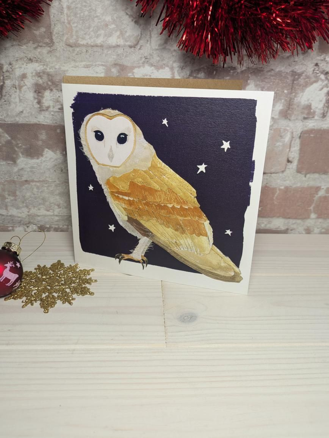 Christmas Cards - Birds by Windsock Press
