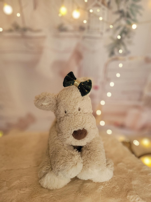 Barrette verte et étoiles 🌟 