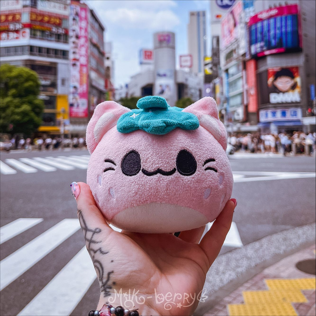 Porte clé peluche chat fraise