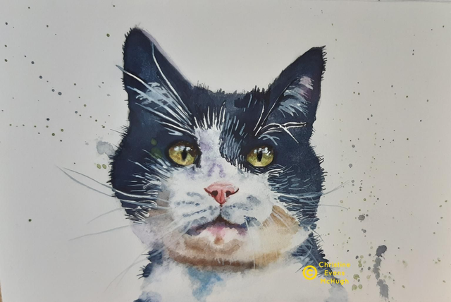 Felix original watercolour 4 x 6 inches