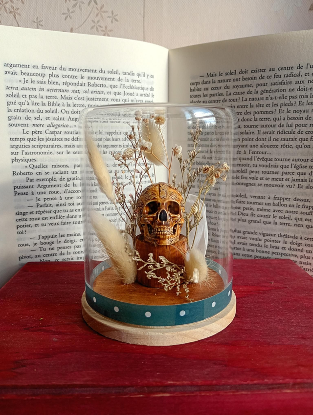 D11 mini crâne blanc