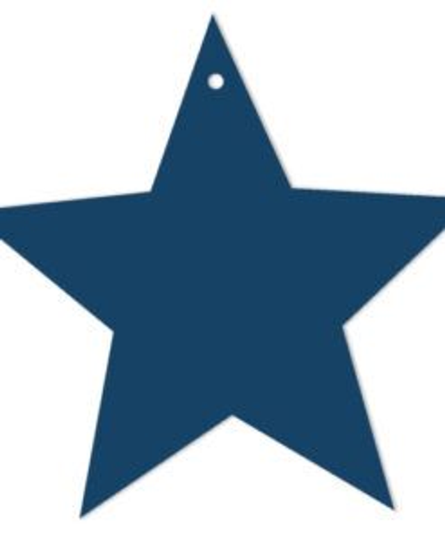 8 Blue Star Gift Tags – GT02