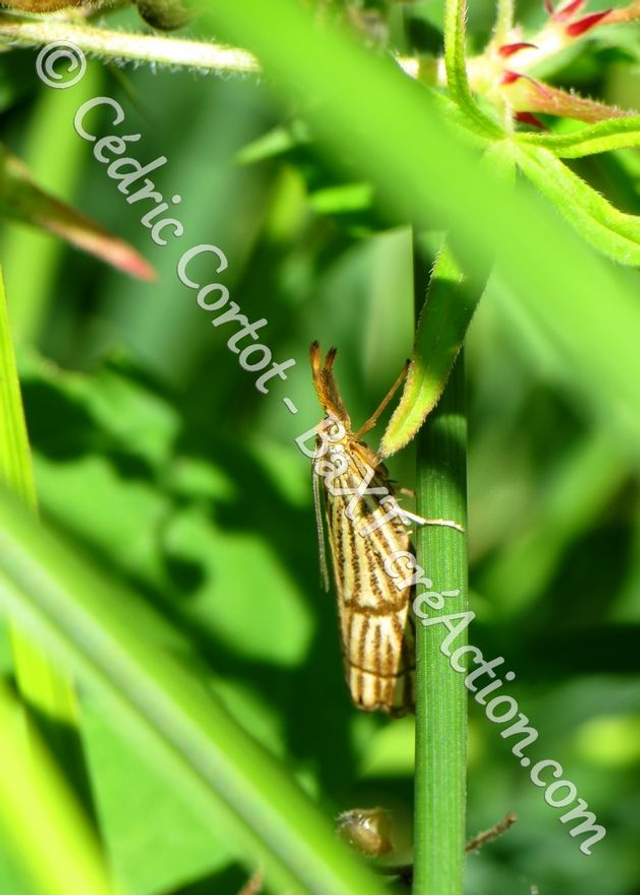 2 - Carte postale - Le petit monde du Vivant (Ref IMG_5843)