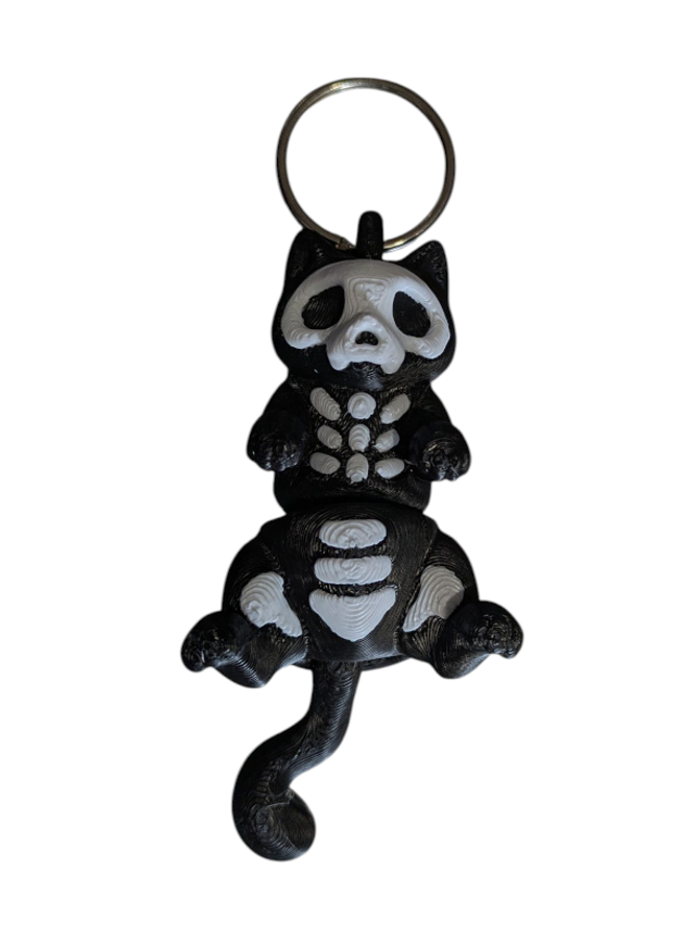 Halloween Skelly Cat