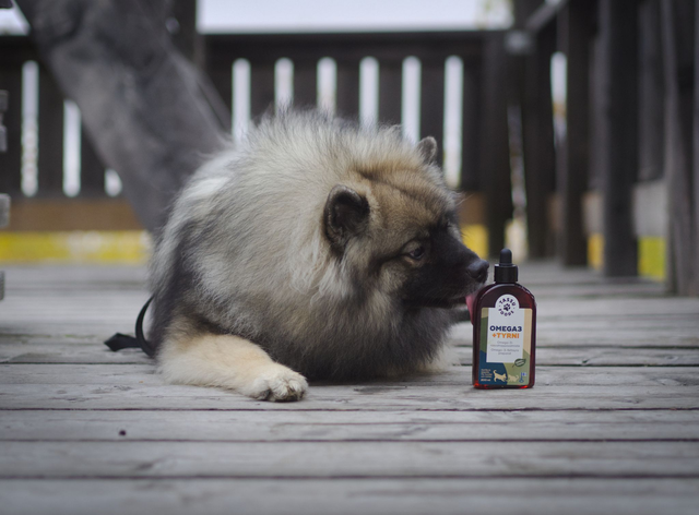 Omega3 + tyrni 100ml