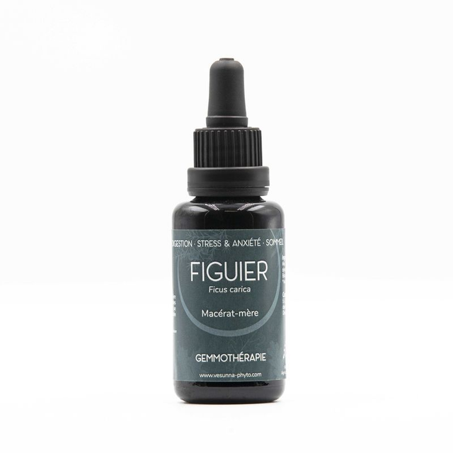 Figuier Ficus carica L. Macérat de bourgeons bio 30 ml /Vesunna