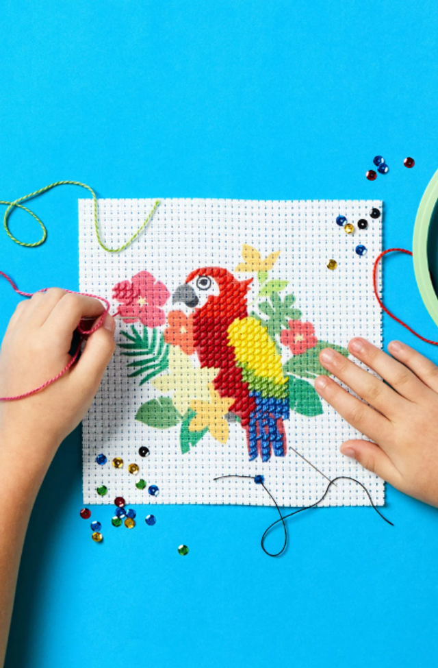 Kit DMC pour enfant Perroquet