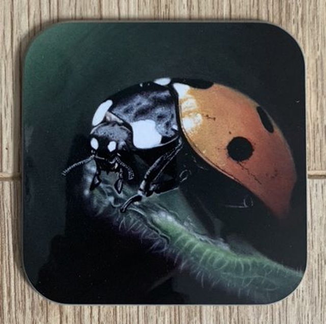 Coaster - "Predator" Ladybird design