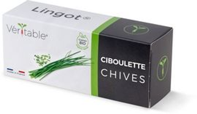 Véritable Lingot Chives - Organic