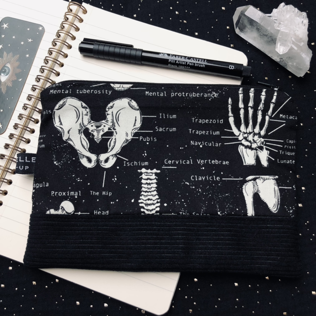 Trousse - L’Anatomiste 