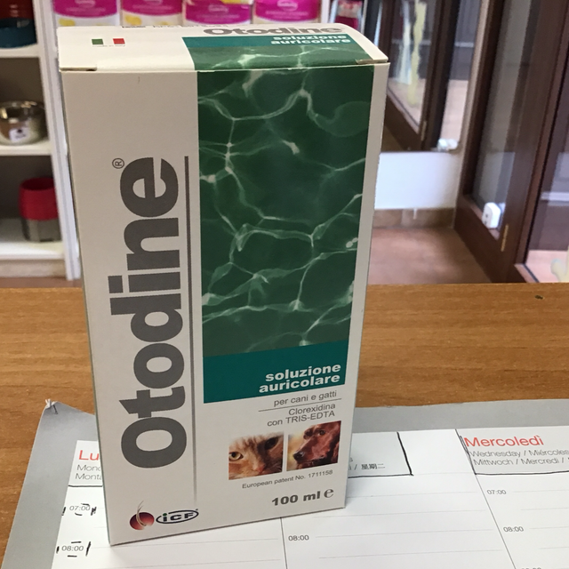 OTODINE SOLUZIONE AURICOLARI CANE/GATTO 100ML 8009722000802