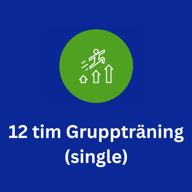 12 tim Gruppträning (single)