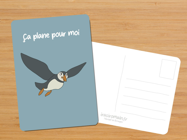Carte postale " Ça plane pour moi "