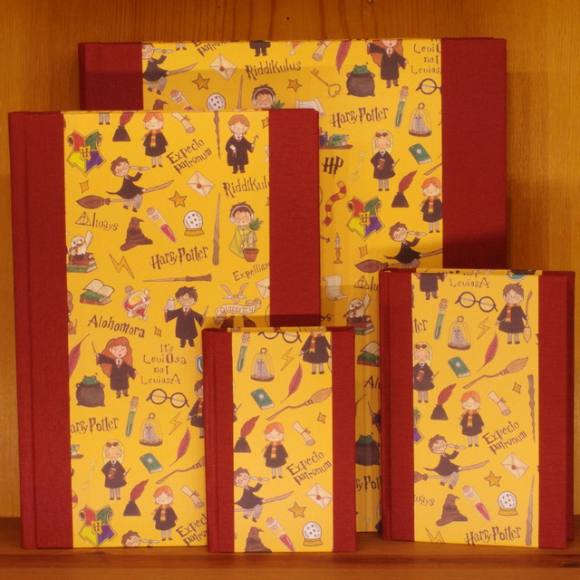 Album Bordeaux Harry Potter