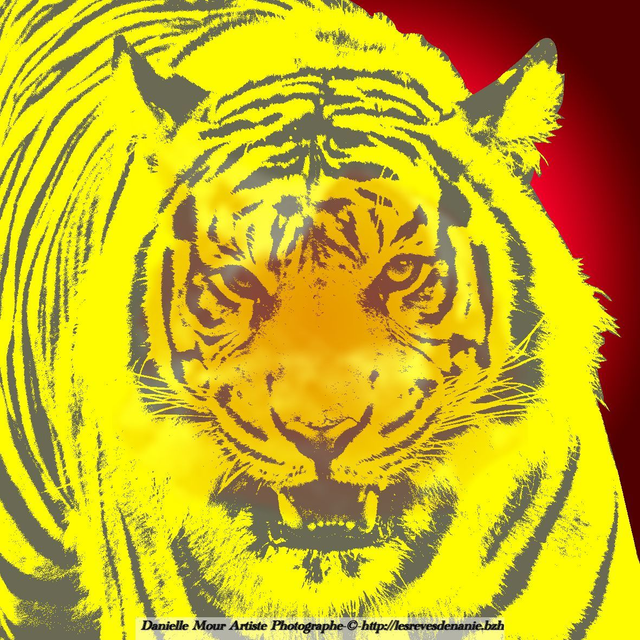 20*20 Le Tigre