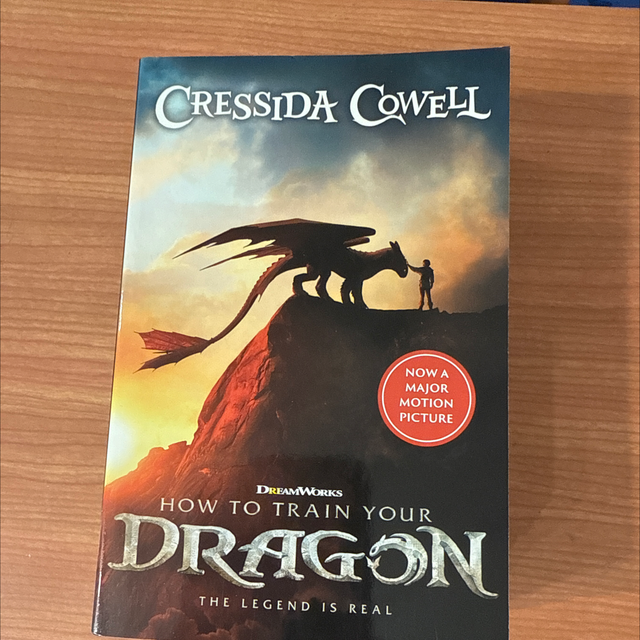 How to train your dragon