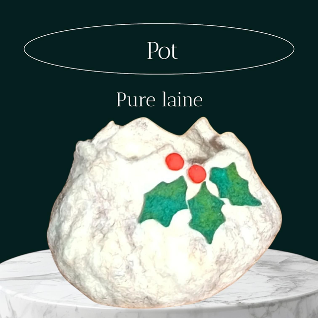 Pot en laine feutrée