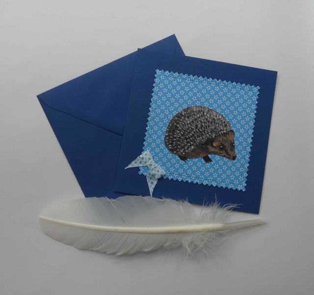 Le merveilleux hérisson